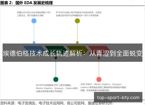 埃德伯格技术成长轨迹解析：从青涩到全面蜕变
